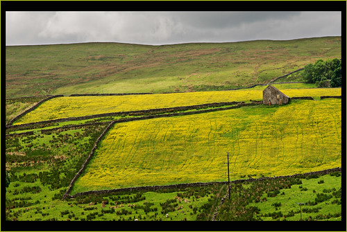 buttercup cottage fields isolation flickrexplore northpennines ninebanks
