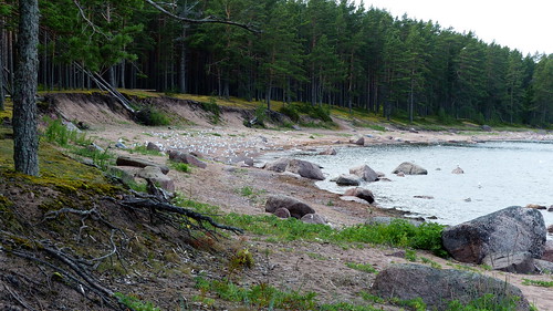 sea summer forest finland geotagged july fin seashore archipelago 2015 kaunissaari pyhtää kymenlaakso pyttis vironniemi 201507 fagerö 20150731 geo:lat=6036406332 geo:lon=2677672863