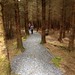 The Cascades walk, Lissycasey, Co. Clare
