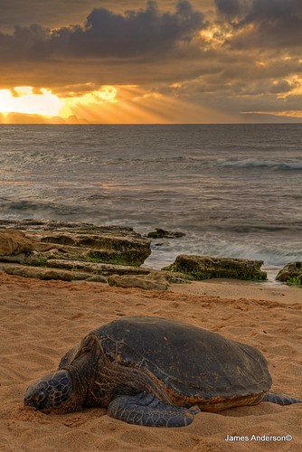 sunset usa hawaii maui greenseaturtle jamesanderson japhotography jamesa1 pathfinderblues 888pathfinder 818pathfinder