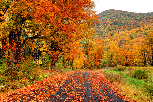 autumn fall massachusetts newengland fallfoliage pioneervalley