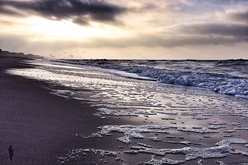 beach strand denmark seagull northsea 365 möwe dänemark nordsee iphone 2014 5s brandung 365project photomy iphone5s photomyde