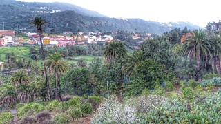 La Villa de Santa Brigida y El Palmeral de Satautey