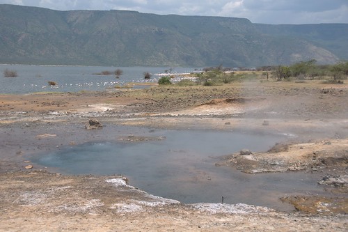 africa kenya volcanic hotsprings bogoria vulkanisch heisequellen
