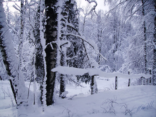 wood winter snow fence hff