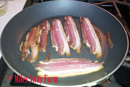 Bacon Cures Test