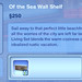 Of the Sea Wall Shelf