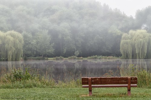 camper francia natura viaggi lake bench green travelpic france