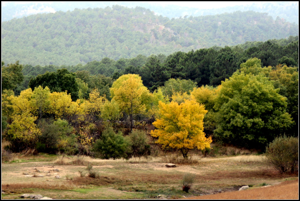 los colores de este otoño pintan la sierra de Guadarrama