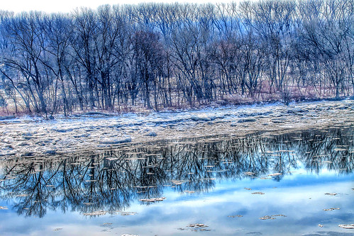 trees reflection ice river newjersey february palmyra delawareriver canonefs60mmf28macrousm canon1100d