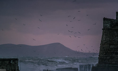 sunset seagulls storm castle clouds dusk gulls wave windy stormy greece crete venetian venetiancastle heraklio siminis stormydusk stormyduskandthegulls