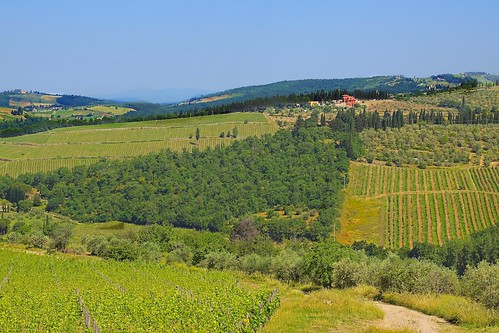 italy landscape vacances vines holidays italia explore tuscany chianti toscane vignes italie vacanza 2013 landscapeoftuscany paysagetoscan routeduchianti