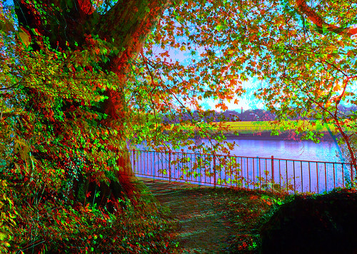 autumn fall yellow radio canon river germany eos dresden stereoscopic stereophoto stereophotography 3d europe raw control saxony kitlens twin anaglyph stereo sachsen stereoview remote spatial 1855mm leafs hdr elbe redgreen 3dglasses hdri transmitter stereoscopy synch anaglyphic optimized in eckberg threedimensional stereo3d cr2 stereophotograph anabuilder synchron redcyan 3rddimension 3dimage tonemapping schlos 3dphoto 550d stereophotomaker 3dstereo 3dpicture quietearth anaglyph3d yongnuo stereotron