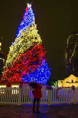 Christmas Tree & The Alamo