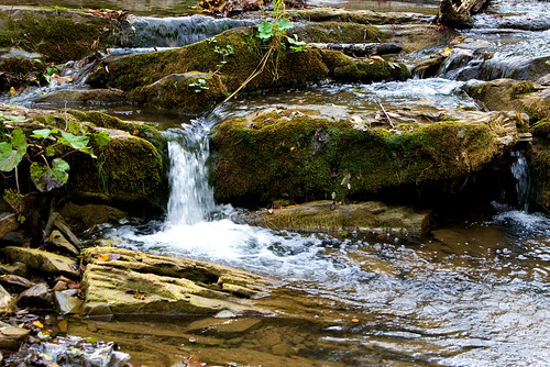 green nature water grass river waterfall stones poland polska natura bieszczady zielony woda trawa rzeka kamienie wodospad bieszczadymountainrange dołżyczka