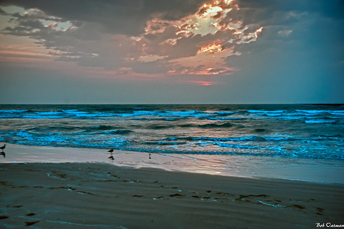 ocean sea bird beach gulfofmexico sunrise seagull hdr southpadreisland brownsville