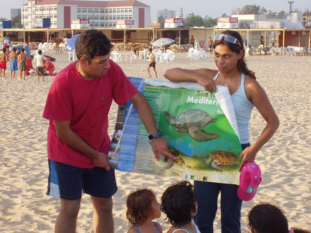 2001-2005 Lebanon sea turtle assessment