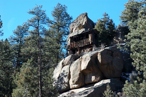 trees nature rock cabin colorado ponderosapine southelkcreekroad spinxpark