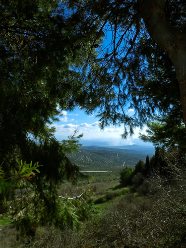 naturaleza verde nature azul landscape paisaje cielo nubes árbol jaen olivos mirador nwn olivo úbeda olivares ramas santalucía
