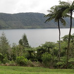 Lake Tikitapu (blue) on the other