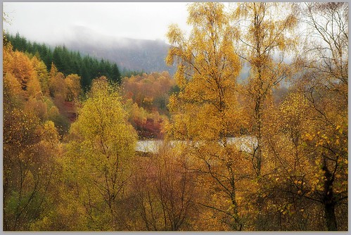 autumn walking scotland landscapes dundee pitlochry birchtrees lochtummel ericrobbniven pentaxk50