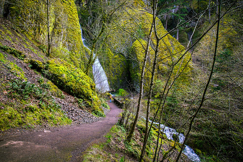 oregon moss boulders trail columbiarivergorge wahkeenafalls