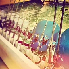 Fishing trip #fishing #trip #qatar #diving #doha #instadoha #instagood #instaqatar #instafish #instagram
