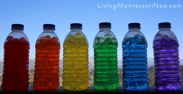 A Rainbow of Water-Bead Sensory Bottles