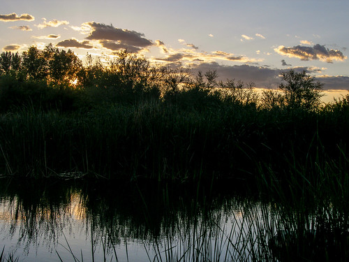 sunset water silhouette clouds reeds pond lasvegas wetlands clarkcounty