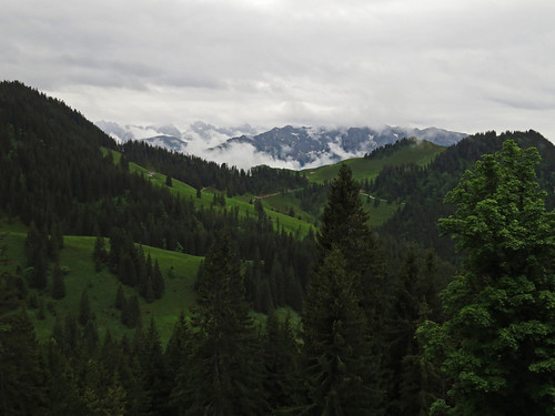 morning summer mountains alps clouds forest germany austria tirol hiking chiemgau