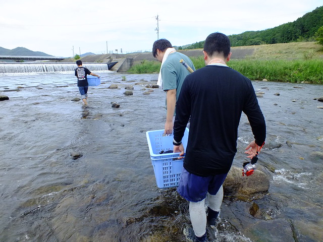 調査を終えて元の場所へと放しに行く．