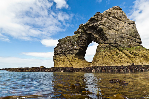 uk sea england pierced seaweed rock stone landscape bay coast arch hole wideangle landmark explore devon kelp tidal southhams laminaria thurlestone