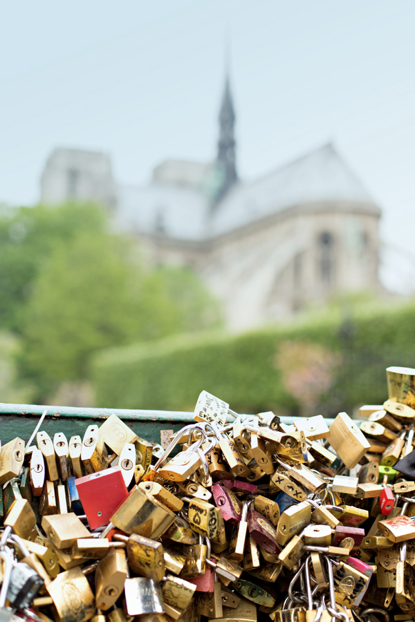 Notre Dame + Pont de l'Archevêché