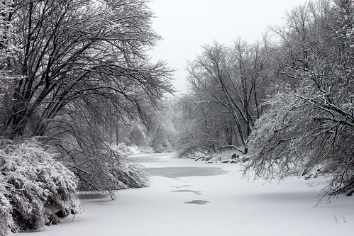 park snow tree snowy snowstorm iowa ia ames 2015 amesiowa skunkriver photobyed 2015feb