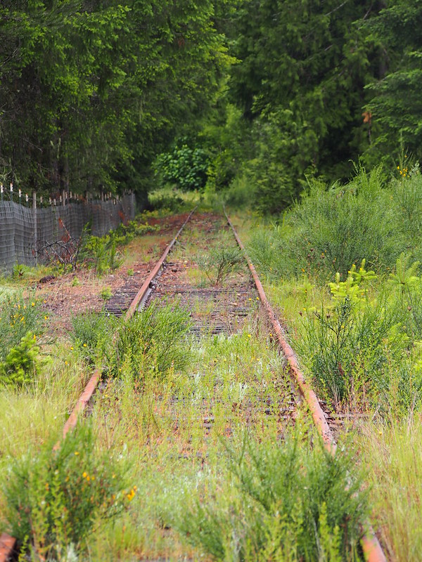 Old Simpson Investment Company Railroad Crossing: Out of service