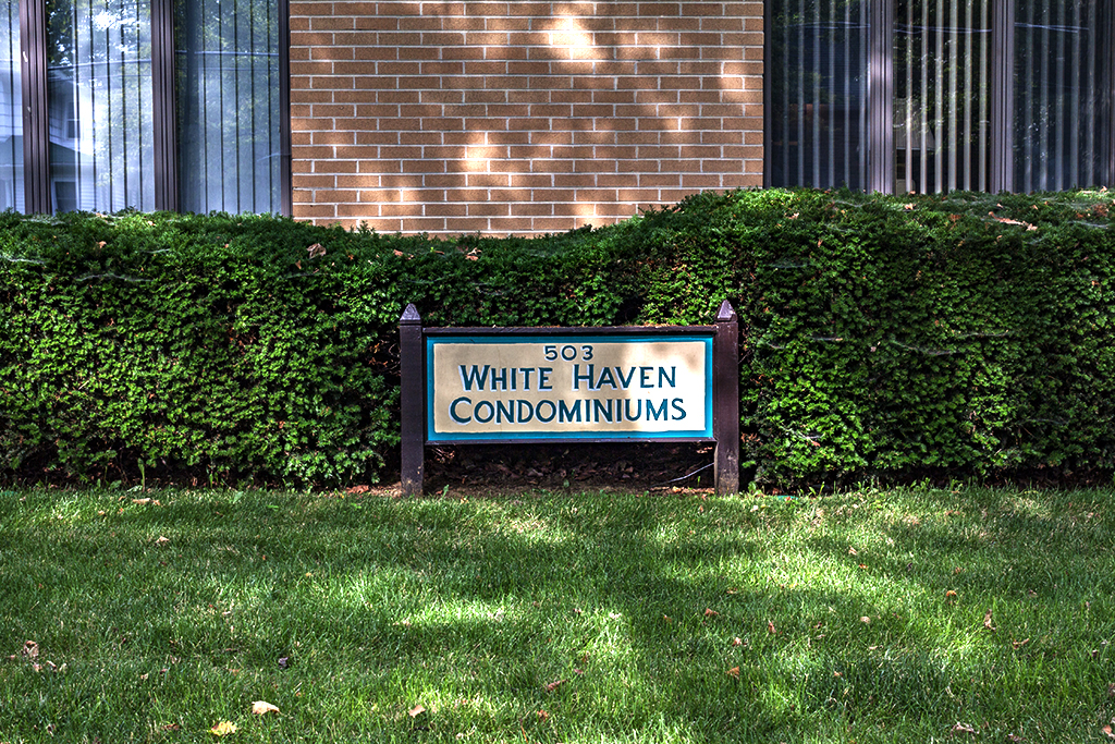 WHITE-HAVEN--Collingswood