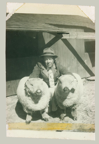 Man and two sheep