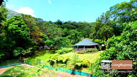 Bangkong Kahoy Valley in Quezon Province