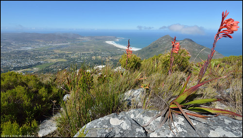 landscape southafrica scenery hiking noordhoek westerncape