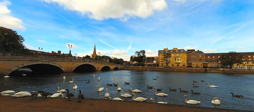 sky river bedford swan ©allrightsreserved