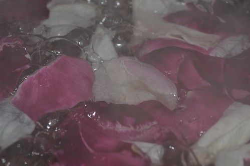 Pink and red petals boiling