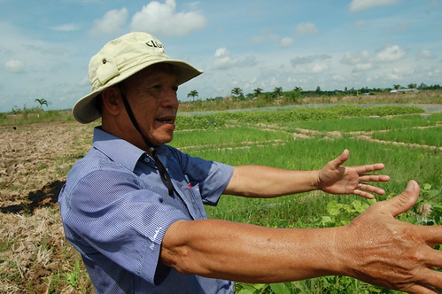 food asia rice farmers farming delta security vietnam research change southeast agriculture climate mekong clues irri ccafs amkn cgiarclimate