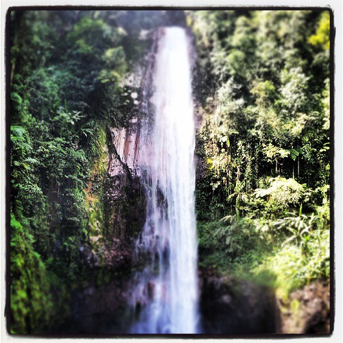 nature square waterfall lofi squareformat iphoneography instagramapp uploaded:by=instagram foursquare:venue=50342b66e4b0ea245a5d0ab3