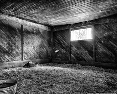 horse stall in monochrome