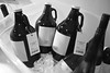33 Acres Brewing Co. | Ocean West Coast Pale Ale