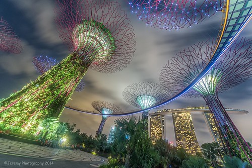 bridge trees motion colors by architecture night clouds marina garden landscape photography lights bay movement nikon singapore long exposure raw image south stock sigma skybridge super structure architectural melody single getty nikkor sands dslr fx scape 1224mm dg rhapsody d800 ocbc skywalk 2014