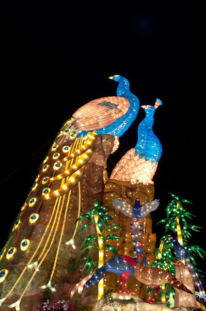 2014 National Lantern Festival