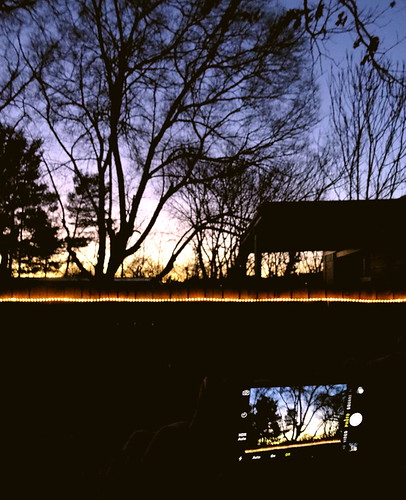 trees light sunset usa backyard phone asheville northcarolina courtyard 2p desoto iphone zensutherland iphonography 20150207