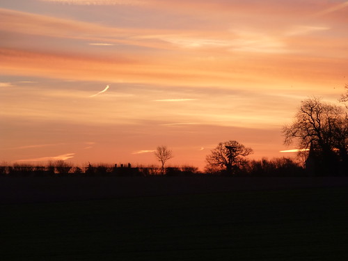 uk morning trees england sky tree field silhouette sunrise dawn flickr silhouettes fields silhouetted viewfromhome hertfordshire knebworth herts