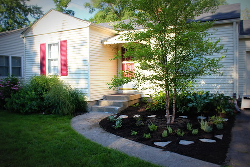 20130714. Less grass + more herbs = happy house.